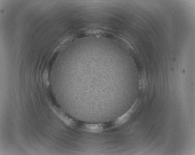 X0000083580187200702231704