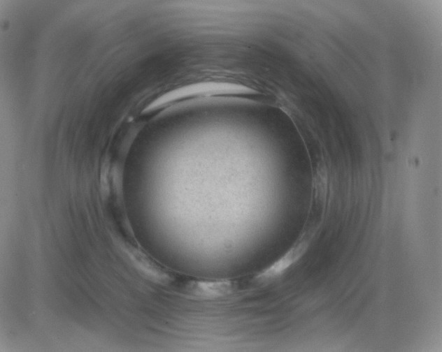 X0000083580188200702231704