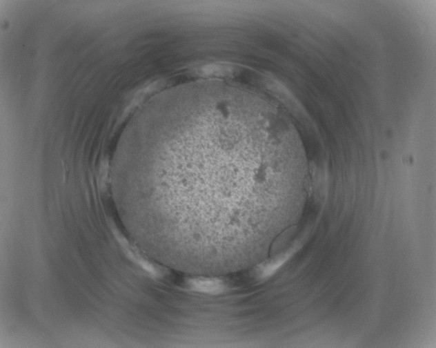 X0000083580189200702231704