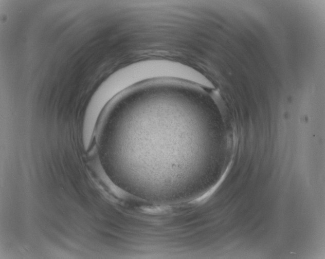 X0000083580190200702231704