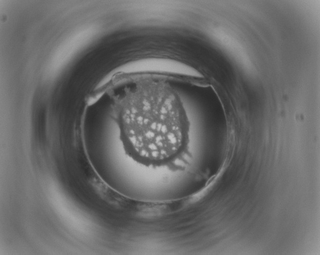 X0000083580191200702231705