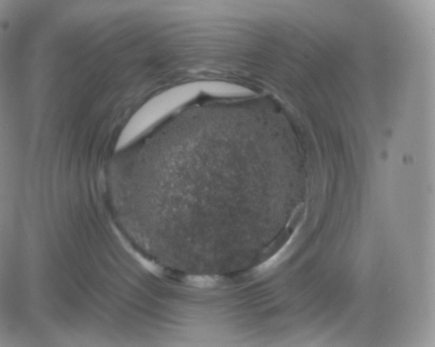 X0000083580192200702231705