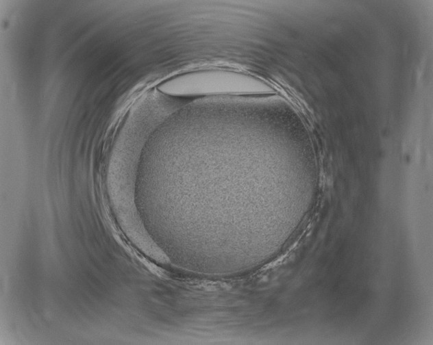 X0000083580193200702231704