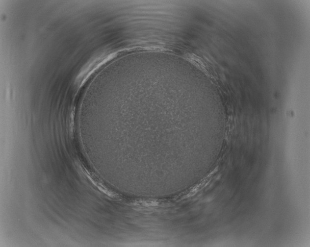 X0000083580194200702231704