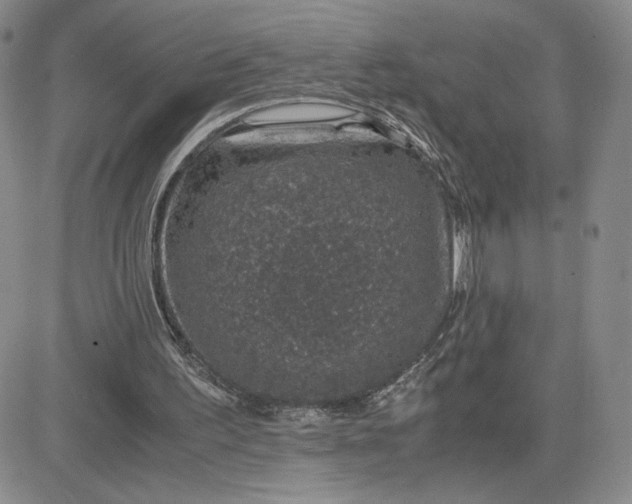 X0000083580195200702231704