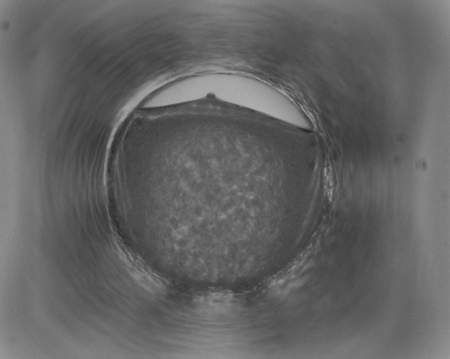 X0000083580196200702231704