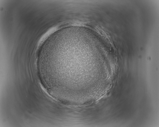 X0000083580197200702231704