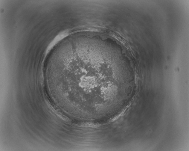 X0000083580198200702231704