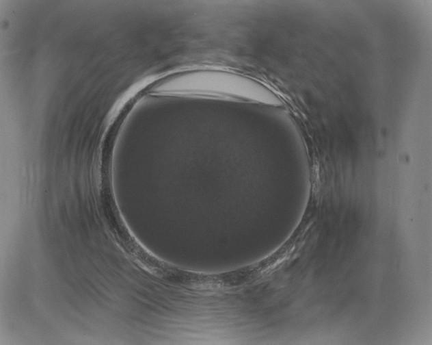 X0000083580200200702231704