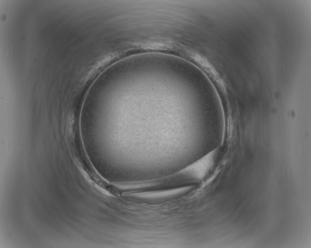 X0000083580201200702231704