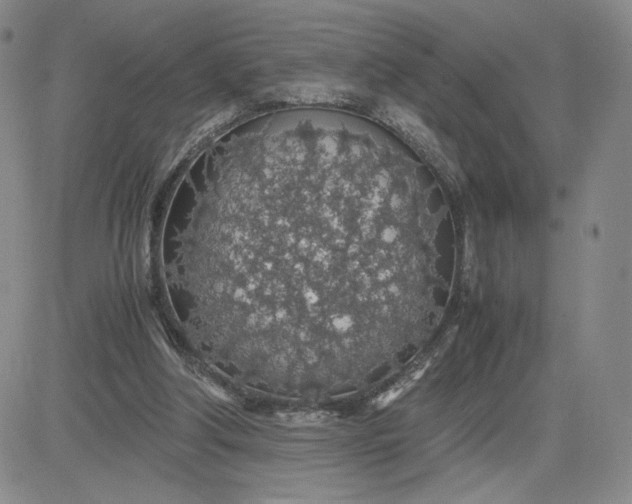 X0000083580202200702231704