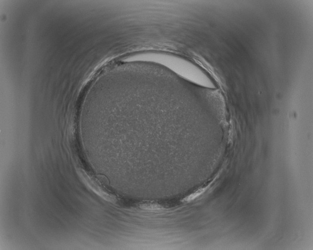 X0000083580203200702231704