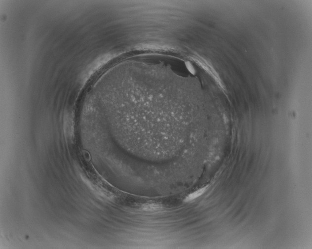 X0000083580204200702231704