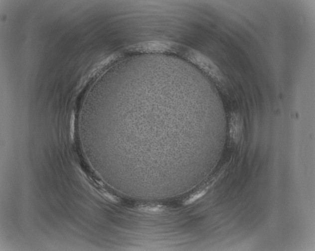 X0000083580206200702231704