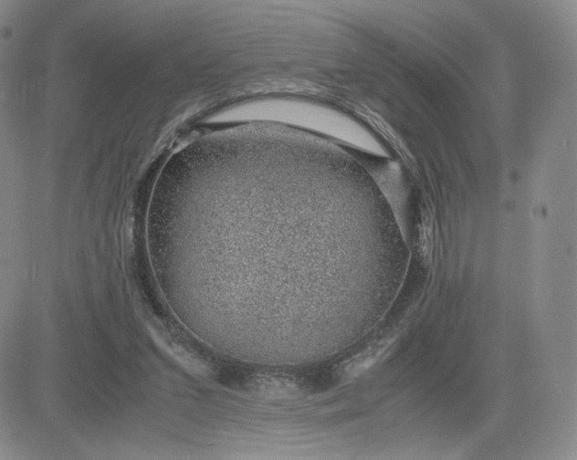 X0000083580207200702231704