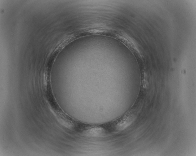 X0000083580210200702231703