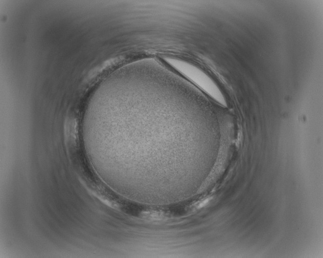 X0000083580211200702231703