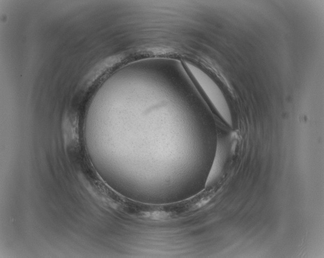 X0000083580212200702231703