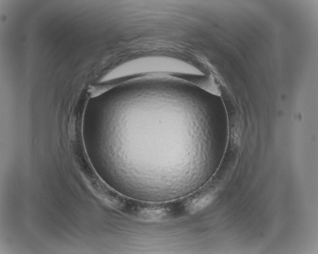 X0000083580213200702231703