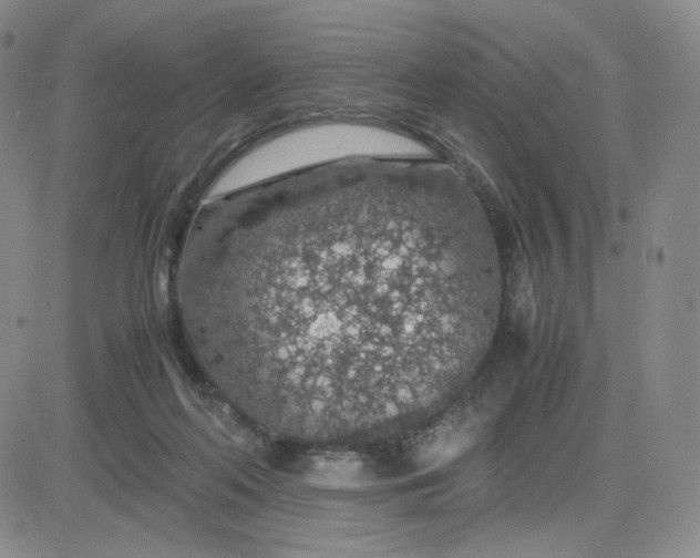 X0000083580214200702231703