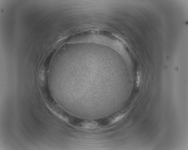 X0000083580215200702231703