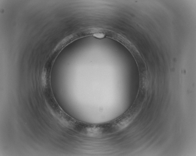 X0000083580216200702231703