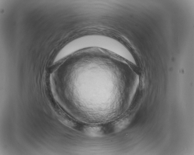 X0000083580217200702231703