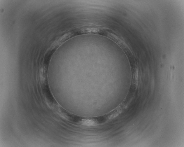 X0000083580218200702231703