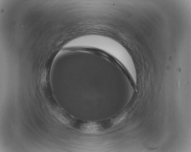 X0000083580219200702231703