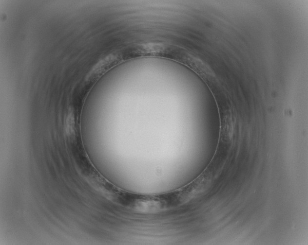 X0000083580220200702231703