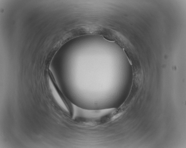 X0000083580221200702231703