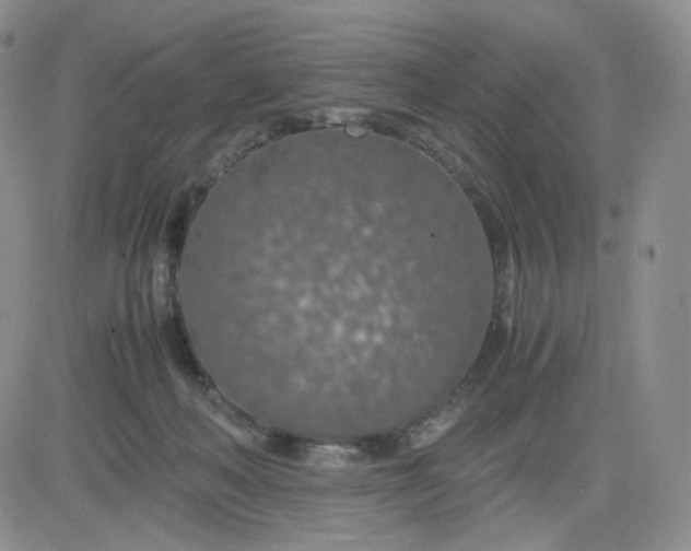 X0000083580222200702231703