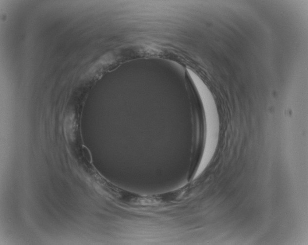 X0000083580223200702231703