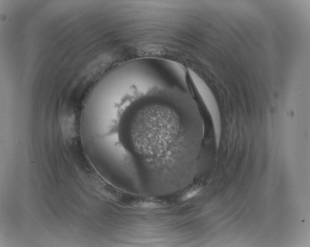 X0000083580224200702231703