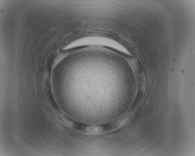 X0000083580225200702231703