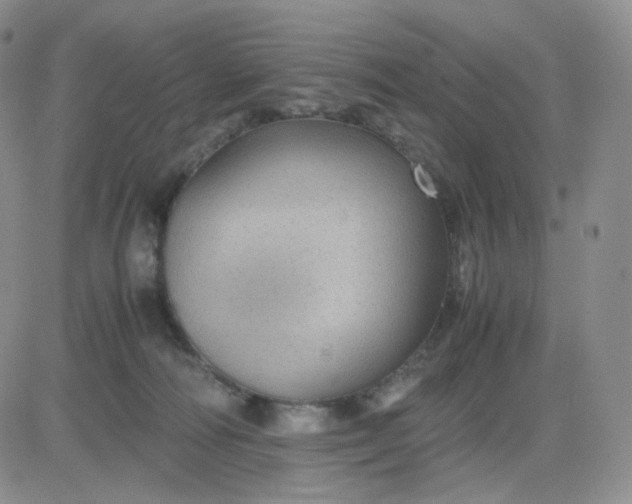 X0000083580226200702231703