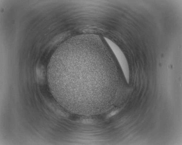 X0000083580228200702231703