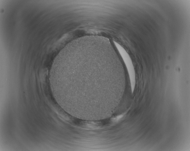 X0000083580229200702231703