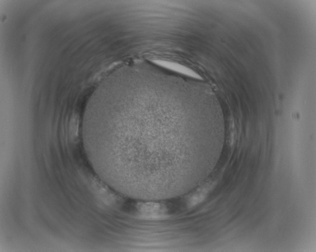 X0000083580230200702231703