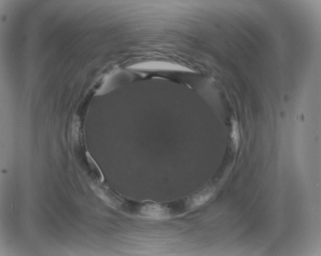 X0000083580231200702231703