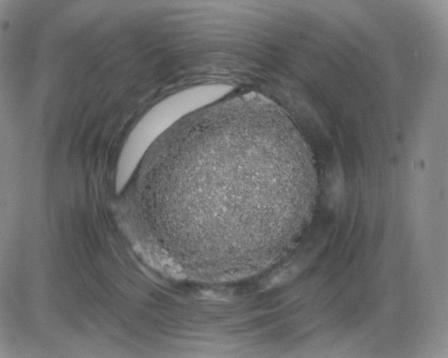 X0000083580232200702231703