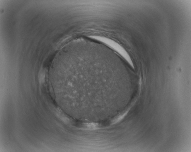 X0000083580233200702231703