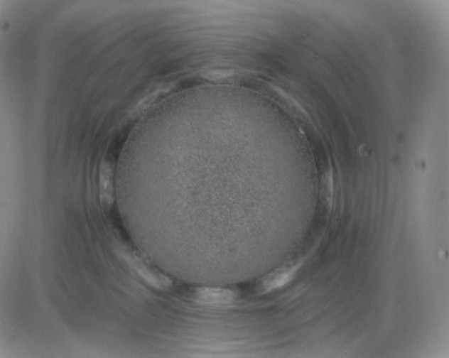 X0000083580234200702231703