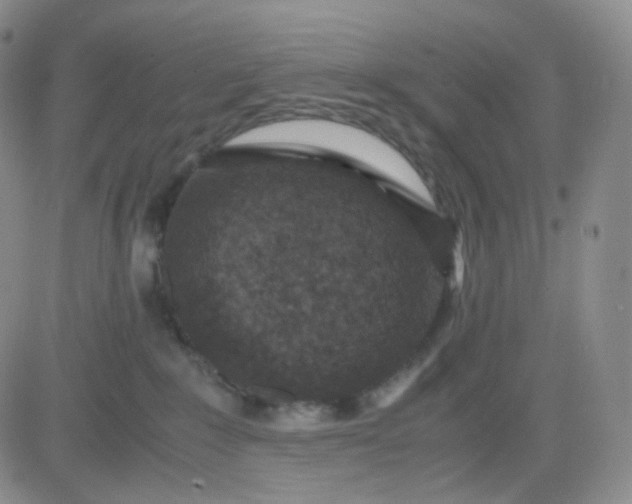 X0000083580235200702231703