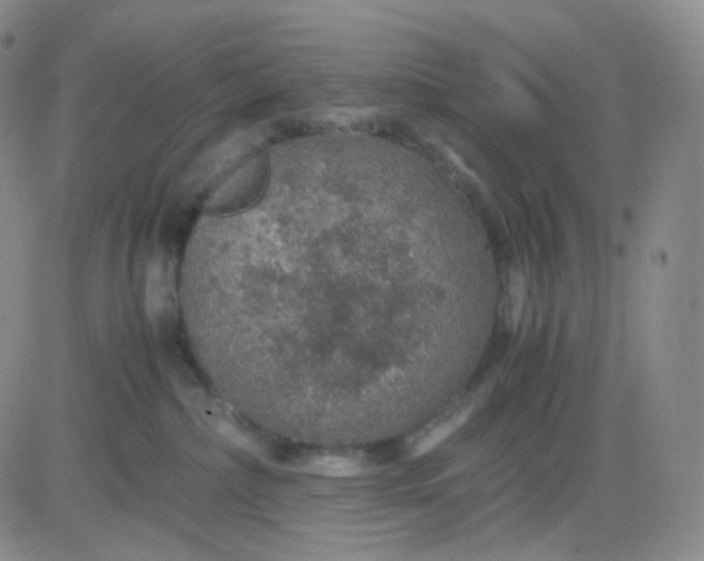 X0000083580236200702231703