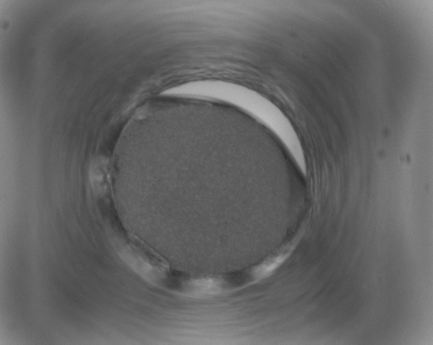 X0000083580237200702231703