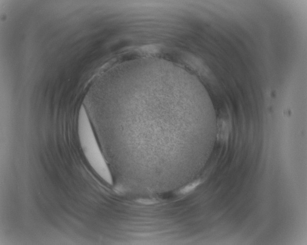 X0000083580238200702231703