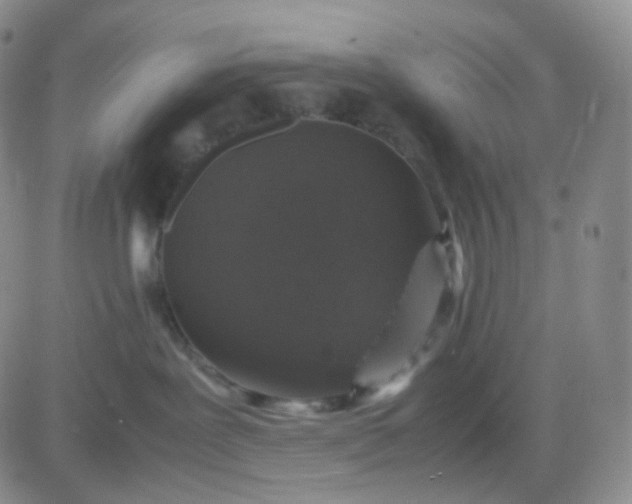 X0000083580239200702231703