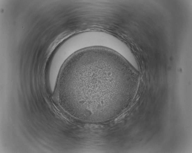 X0000083580242200702231702