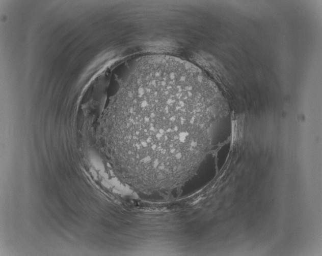 X0000083580243200702231702